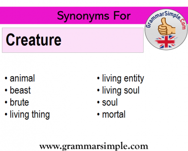 Synonyms of Creature, Synonym words for Creature