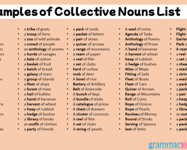 +100 Examples of Collective Nouns List