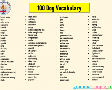 100 Dog Vocabulary, Common Dog Names List