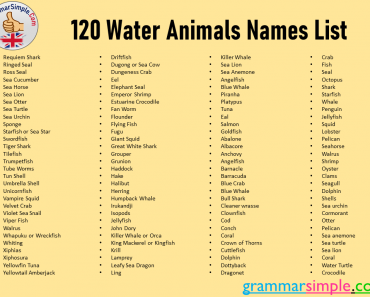 120 Water Animals Names List From A to Z