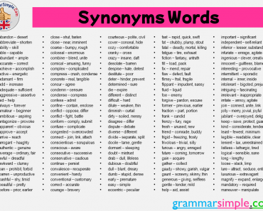 150 Most Important Synonyms Words List