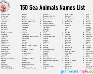 150 Sea Animals Names List From A to Z