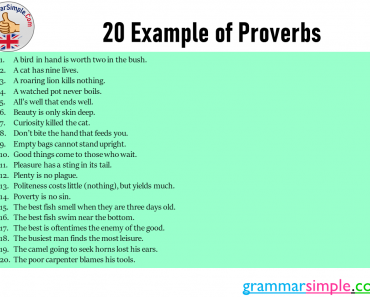 20 Example of Proverbs