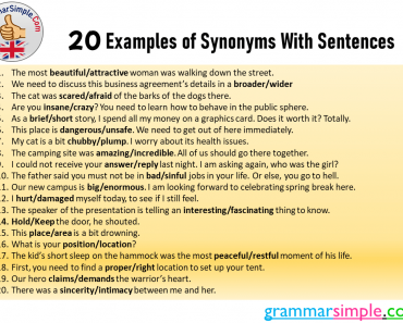 20 Examples of Synonyms With Sentences