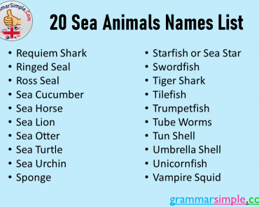 20 Sea Animals Names List