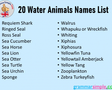 20 Water Animals Names List