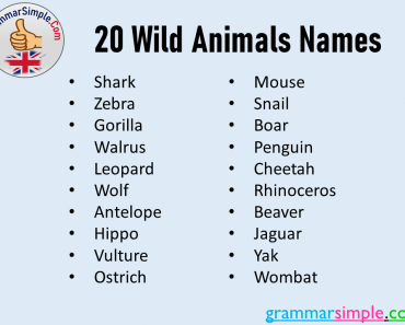 20 Wild Animals Names
