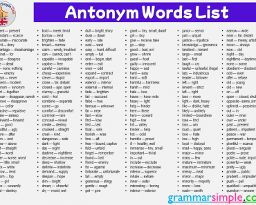 +200 Antonym Words List