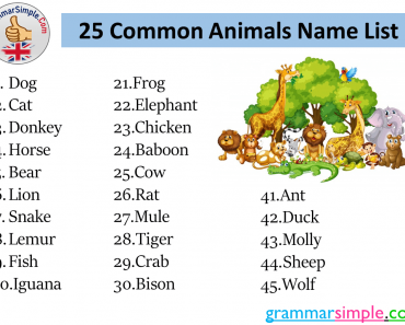25 Common Animals Name List