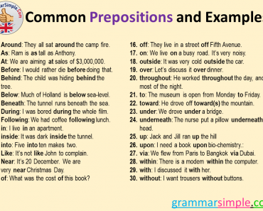 30 Common Prepositions and Example Sentences
