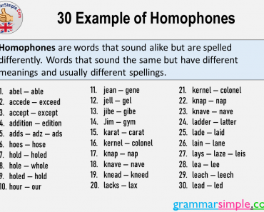 30 Example of Homophones in English