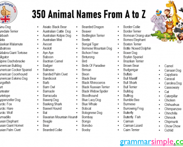 350 Animal Names From A to Z