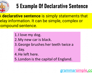 5 Example Of Declarative Sentence in English