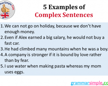 5 Examples of Complex Sentences