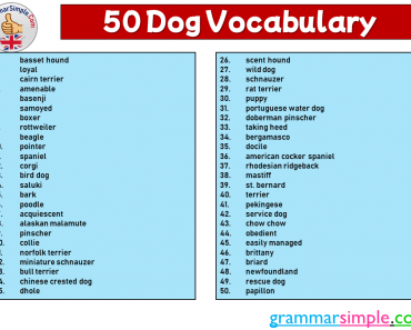 50 Dog Vocabulary, Common Dog Names List