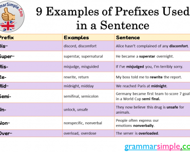 9 Examples of Prefixes Used in a Sentence