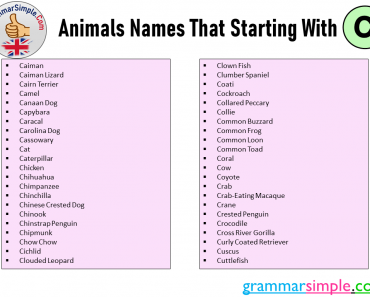 Animals Names That Starting With C