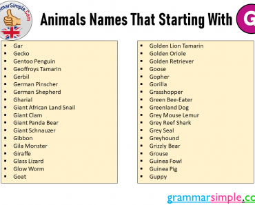 Animals Names That Starting With G
