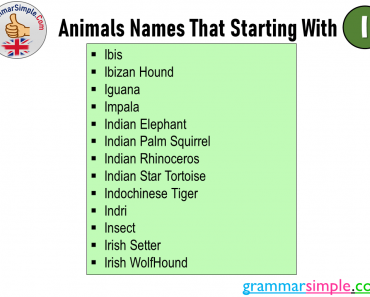 Animals Names That Starting With I