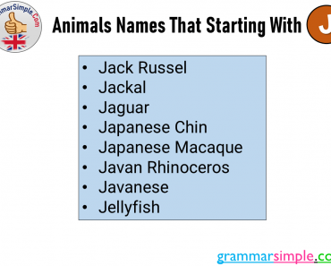 Animals Names That Starting With J