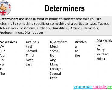 Determiners, Definition, Types and Examples