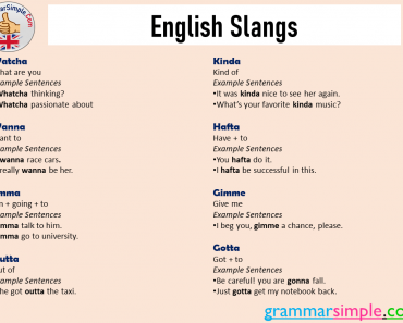 English Slangs and Examples
