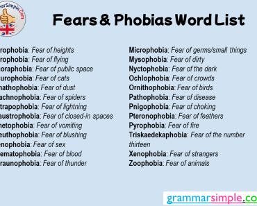 Mysophobia meaning