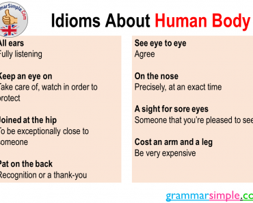 Idioms About Human Body