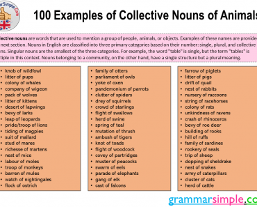 100 examples of collective nouns of animals