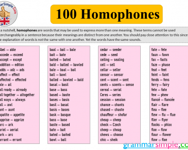100 examples of homophones