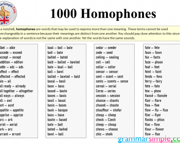 1000 homophones with meanings
