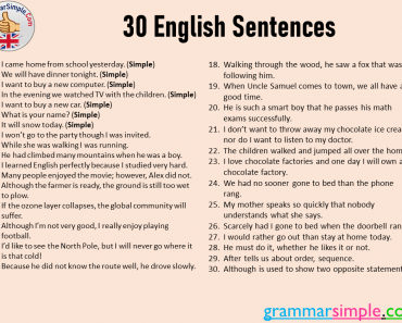 30 English Sentences, Example Sentences in English