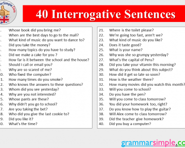 40 Interrogative Sentences Examples in English