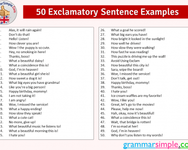 50 Exclamatory Sentence Examples