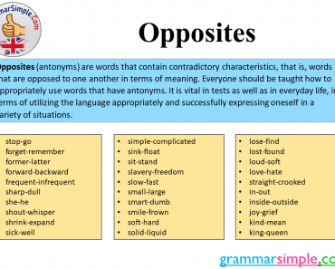 Opposite Words in English, Definition and Example Sentences