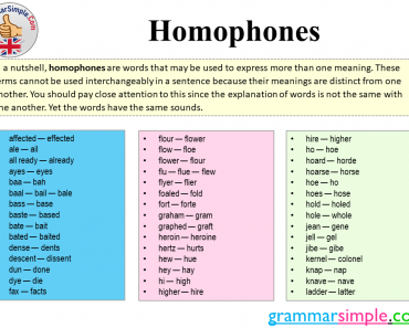 What is Homophone? Most Important Homophones Words List