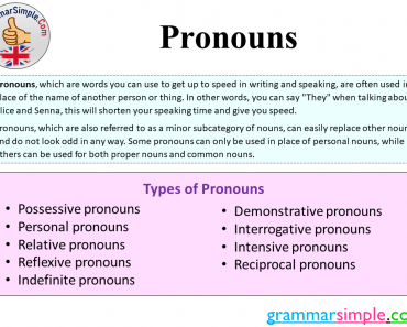 What is Pronoun? Types of Pronouns, Definition and Example Sentences