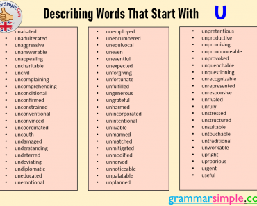 Describing Words That Start With U