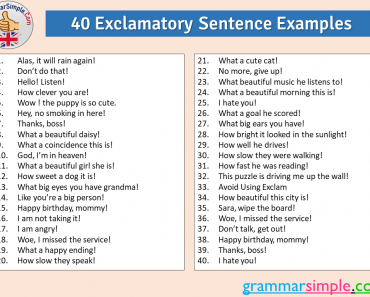 40 Exclamatory Sentence Examples