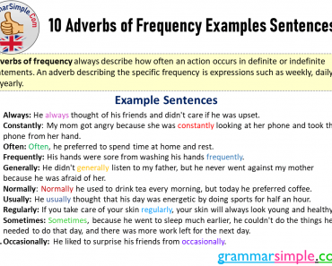 10 Adverbs of Frequency Examples Sentences