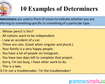 10 Examples of Determiners and Sentences