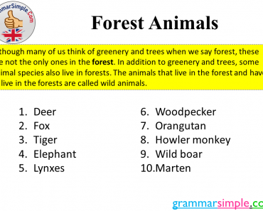 10 Forest Animals Name in English