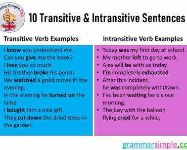 10 Transitive and Intransitive Sentences Examples