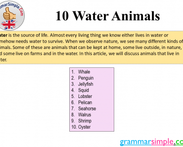 10 Water Animals Name List