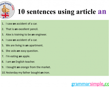 10 sentences using article an