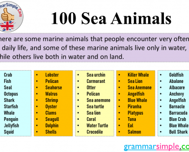 100 Sea Animals, Sea Animals Names List