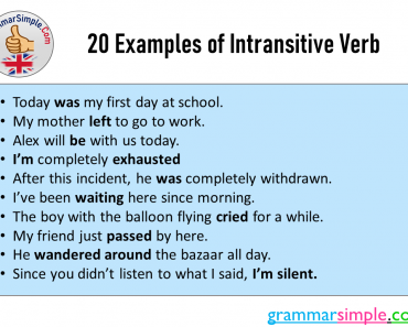 20 Examples of Intransitive Verb and Example Sentences