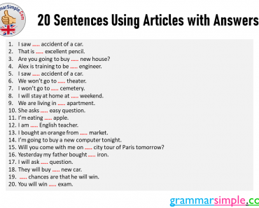 20 Sentences Using Articles with Answers