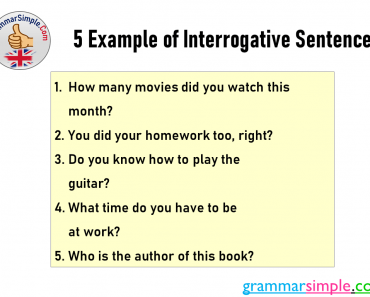 5 Example of Interrogative Sentences