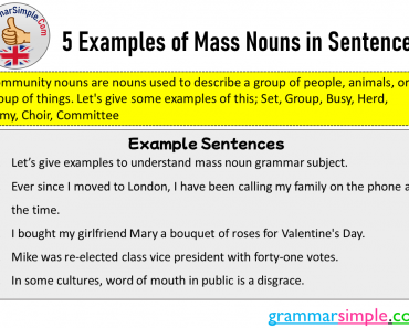 5 Examples of Mass Nouns in Sentences
